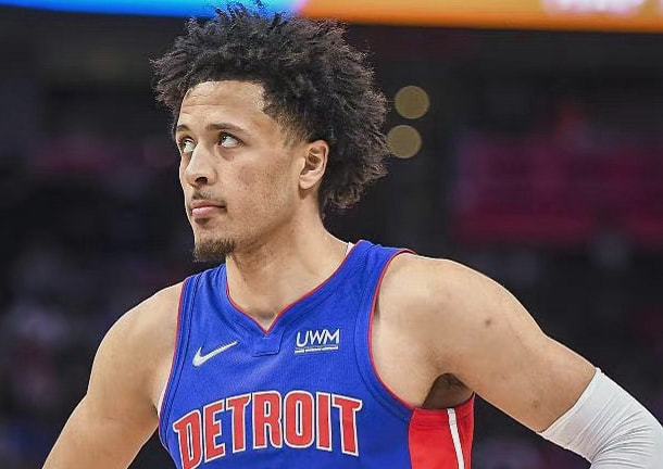 许多评论员 许多评论员