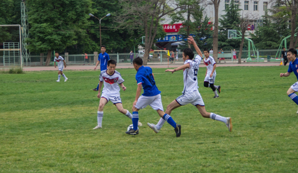 这篇文章将 这篇文章将