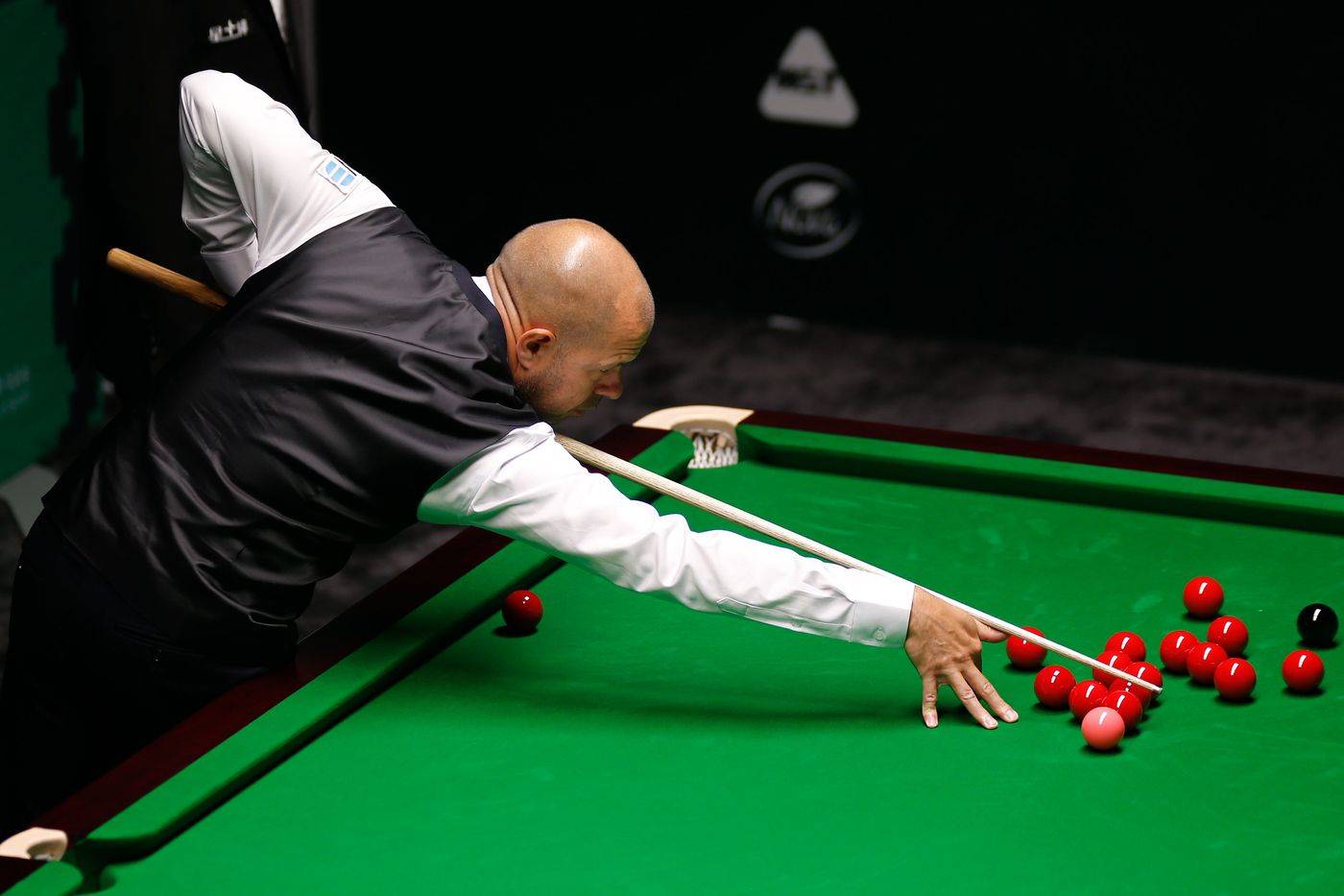 样一个绝佳 样一个绝佳