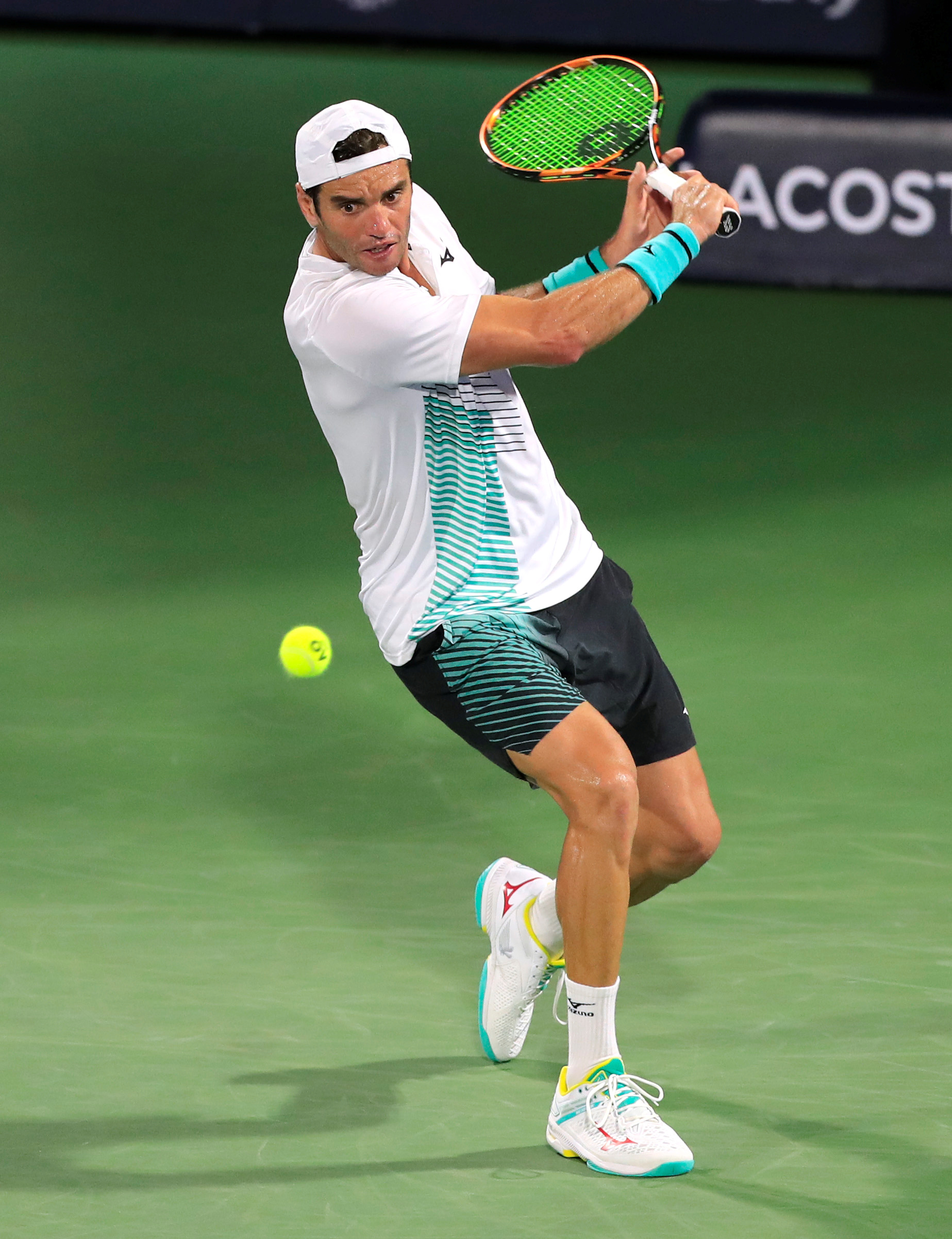 在公牛的体 在公牛的体