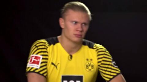 翼卫前提时 翼卫前提时