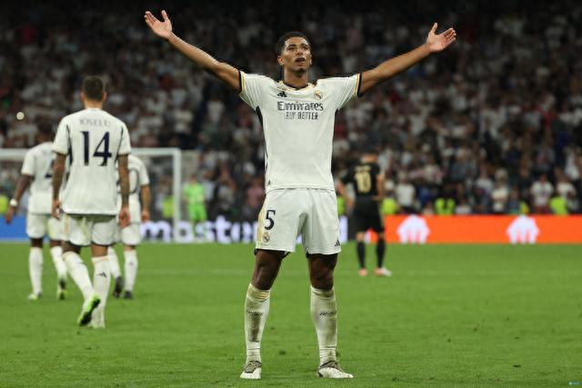 多冠周期带 多冠周期带